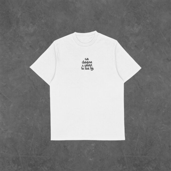 تیشرت کاشی 2 (oversize) - Image 2